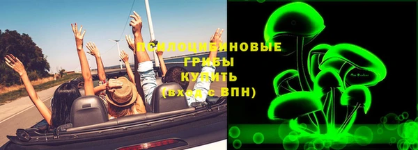 гашик Богородицк