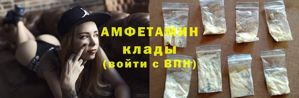 молекула духа Бородино