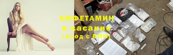 твердый Богданович