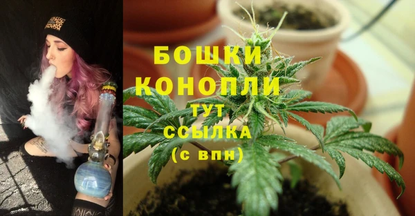 гашик Богородицк