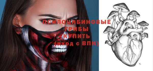твердый Богданович