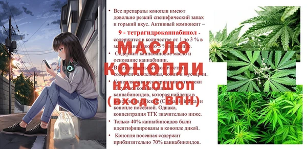 гашик Богородицк